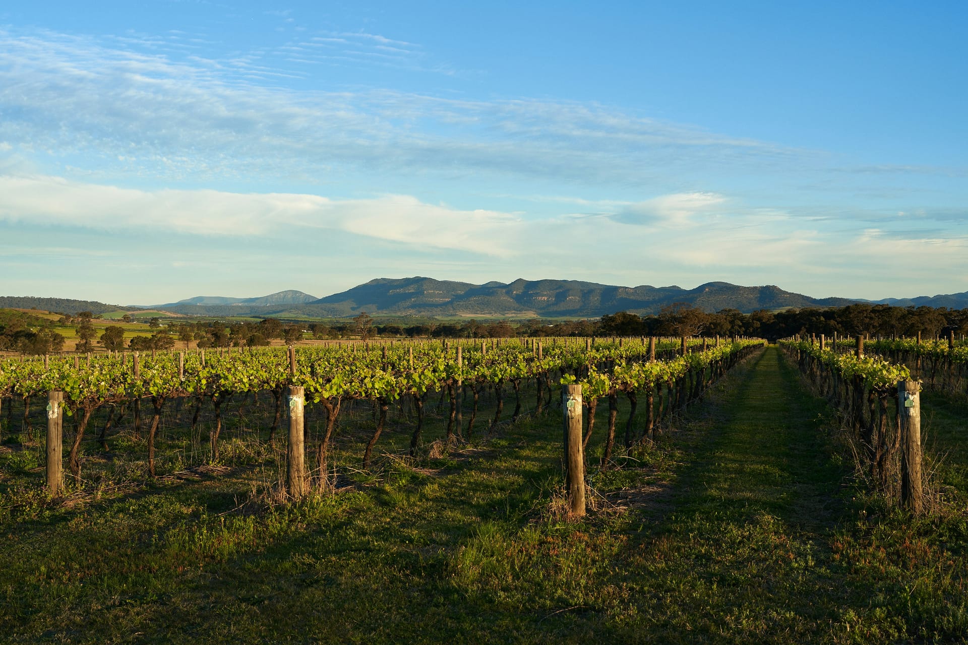 Hunter Valley property market