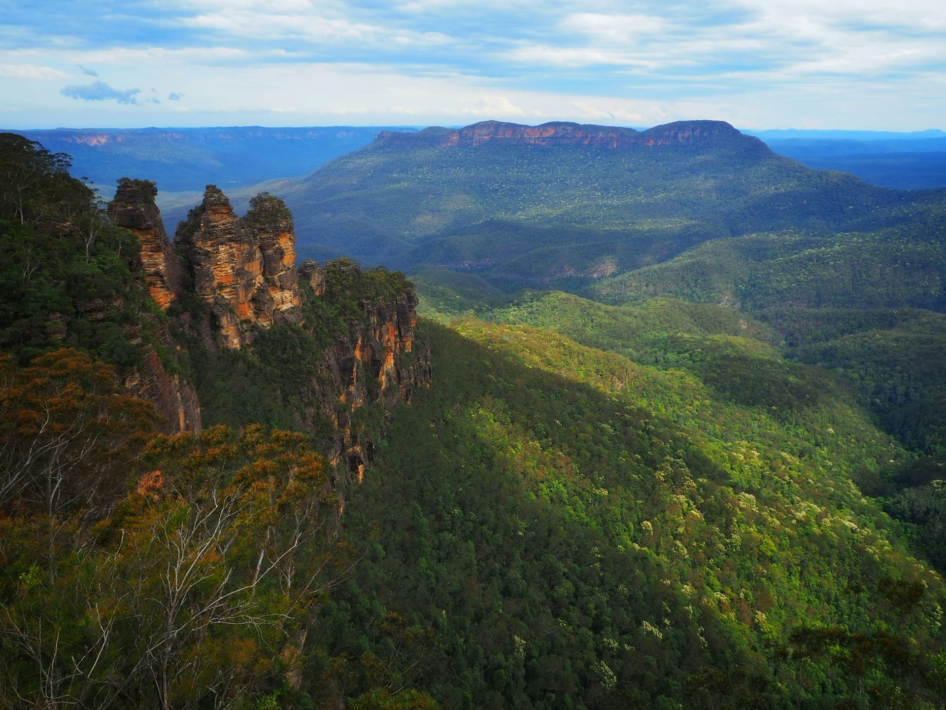 Blue Mountains property market