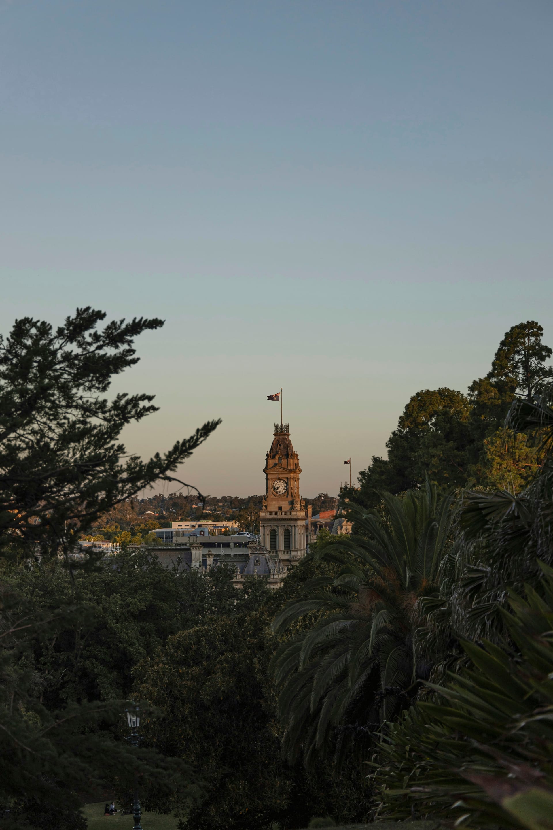 Bendigo property market