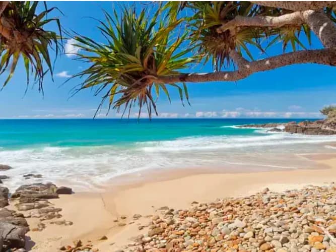 Discovering Sunshine Coast’s Real Estate Gems: The Best Agents for Property Investment: